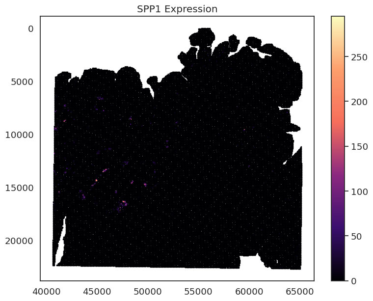 _images/Crop_ROI_Boundary_image_154_0.png