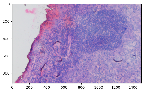 _images/Crop_ROI_Boundary_image_17_0.png